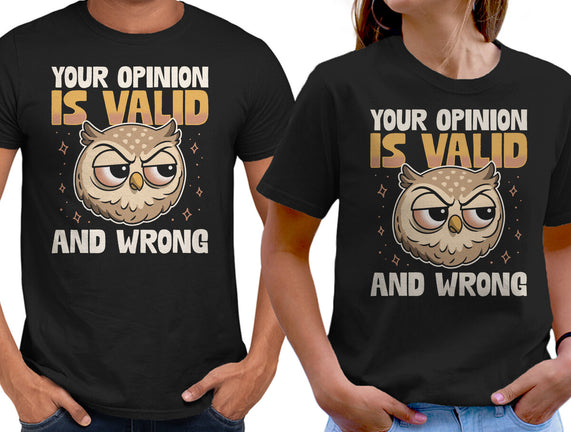 Valid But Wrong