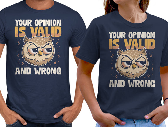 Valid But Wrong