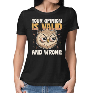 Valid But Wrong