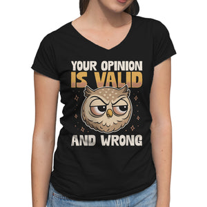 Valid But Wrong