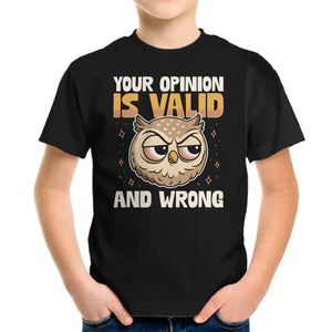 Valid But Wrong