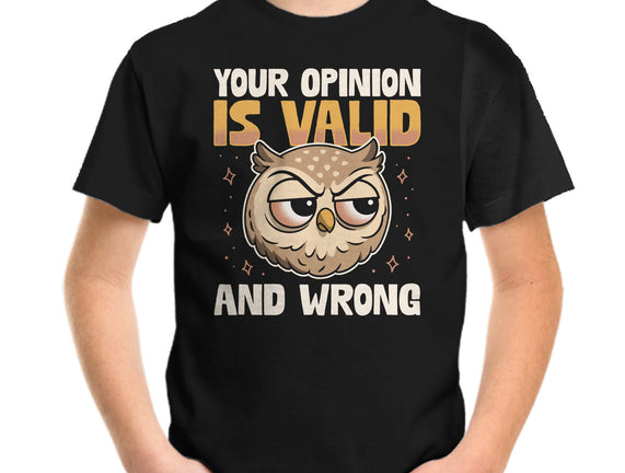 Valid But Wrong