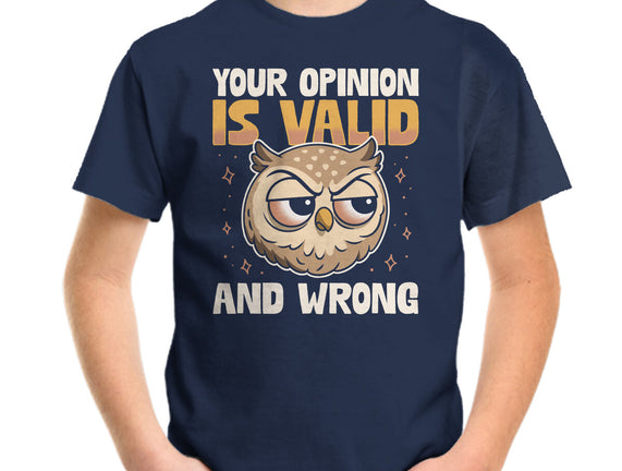 Valid But Wrong