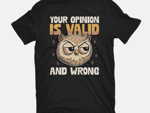 Valid But Wrong