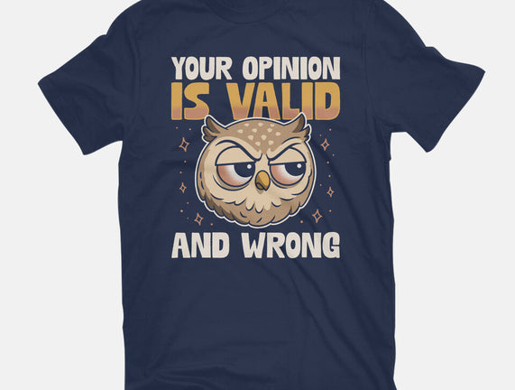 Valid But Wrong