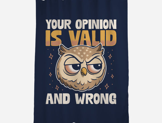 Valid But Wrong