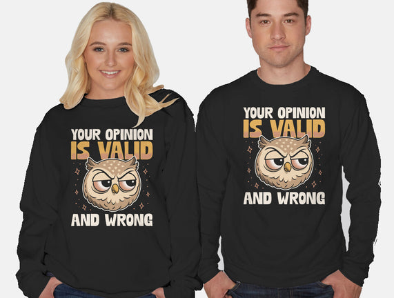 Valid But Wrong