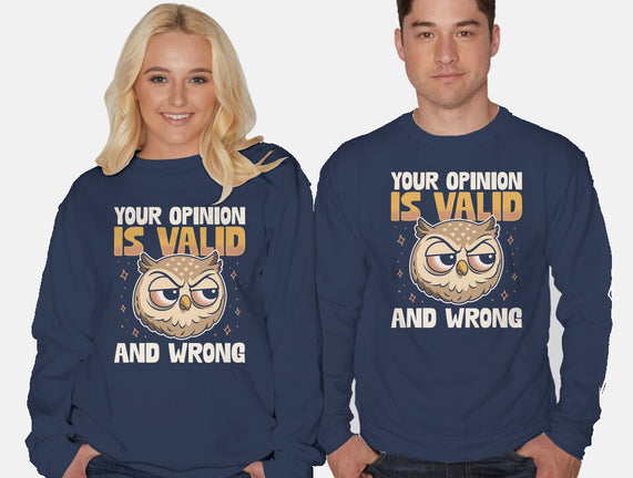 Valid But Wrong