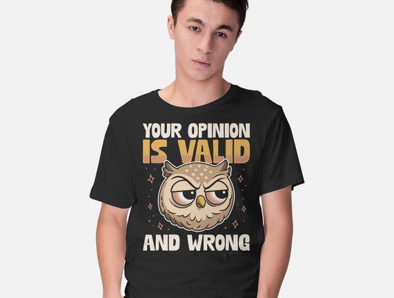 Valid But Wrong