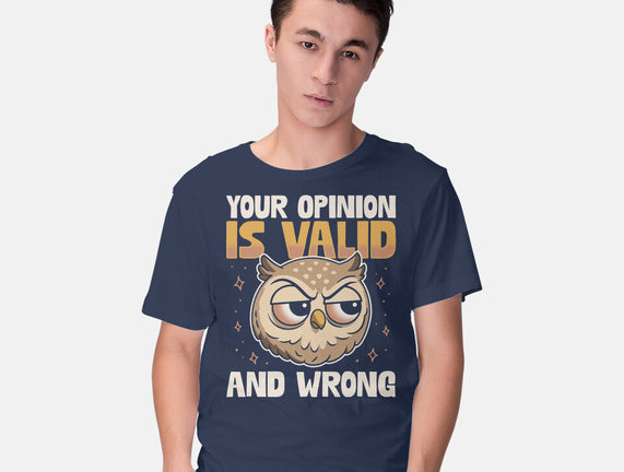 Valid But Wrong