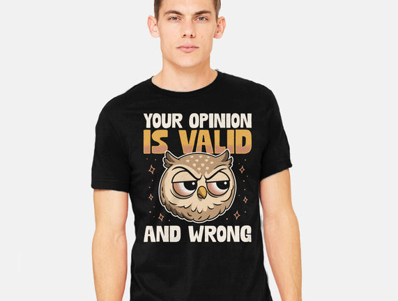 Valid But Wrong