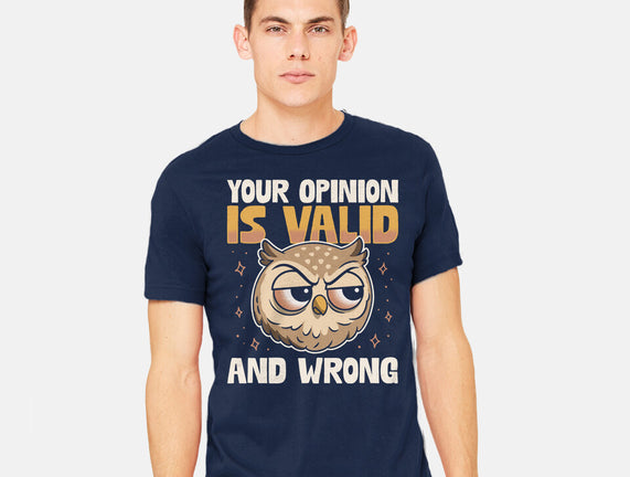 Valid But Wrong