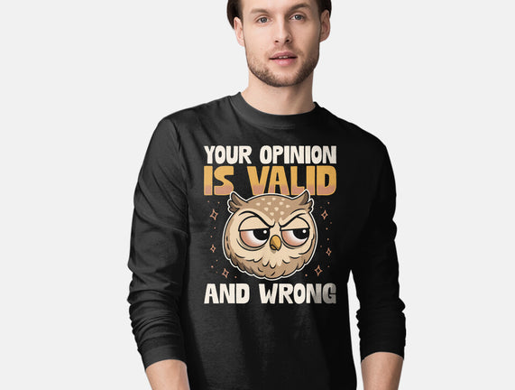 Valid But Wrong