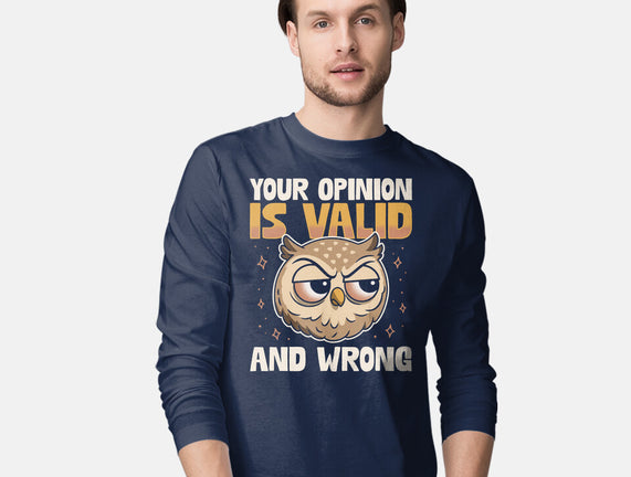 Valid But Wrong