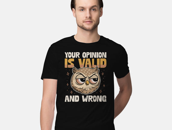 Valid But Wrong