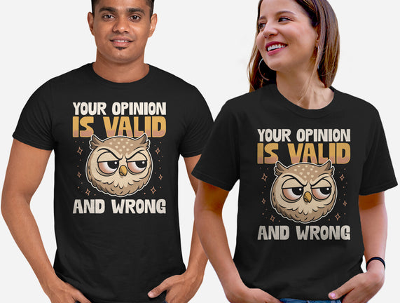Valid But Wrong