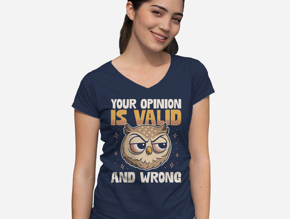 Valid But Wrong