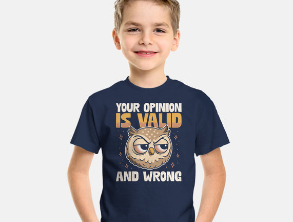 Valid But Wrong