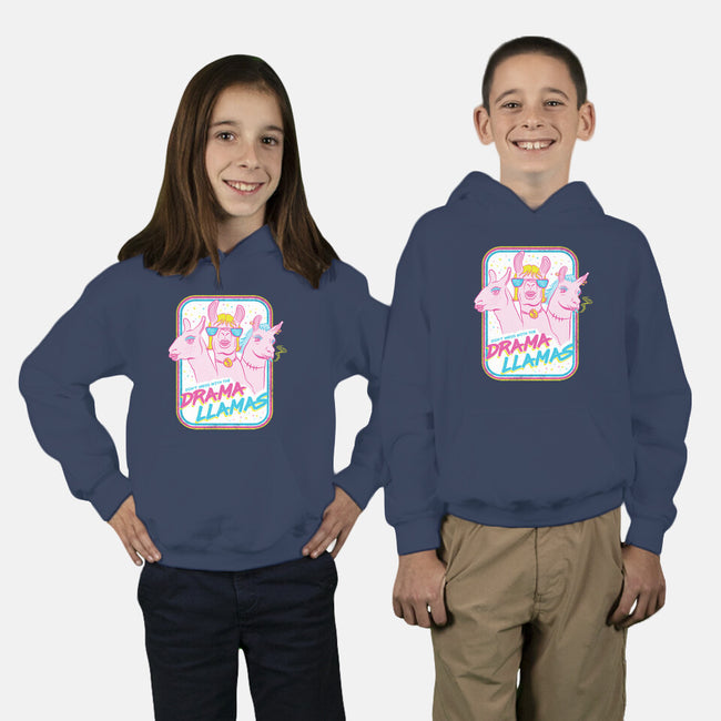 Drama Llamas-Youth-Pullover-Sweatshirt-hbdesign