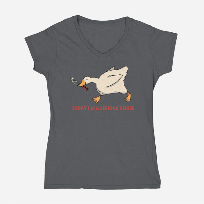 Serious Goose Violence-Womens-V-Neck-Tee-tobefonseca
