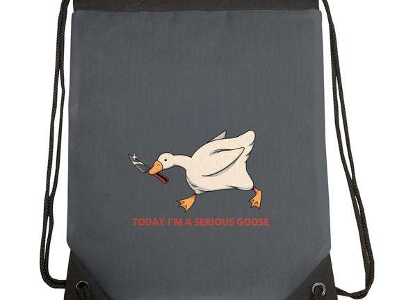 Serious Goose Violence