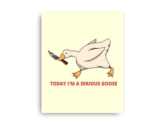 Serious Goose Violence
