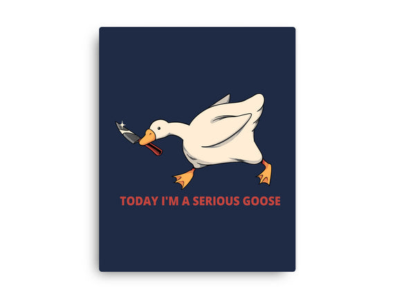 Serious Goose Violence