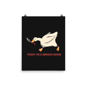 Serious Goose Violence