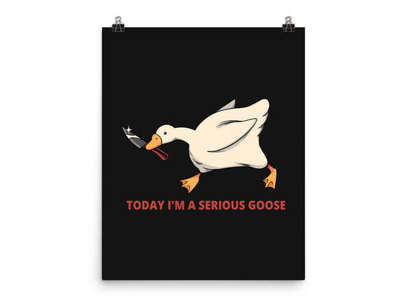 Serious Goose Violence