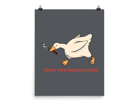 Serious Goose Violence