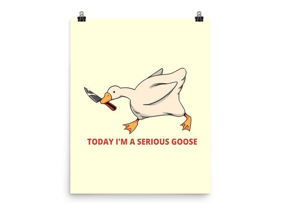 Serious Goose Violence