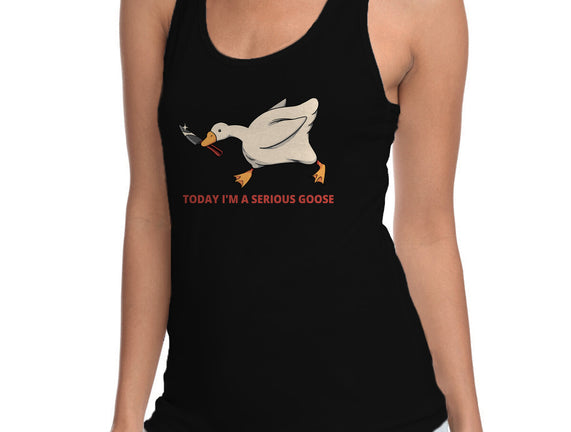 Serious Goose Violence