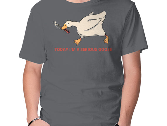 Serious Goose Violence