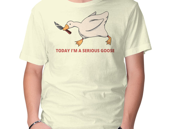 Serious Goose Violence