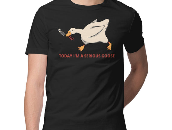 Serious Goose Violence