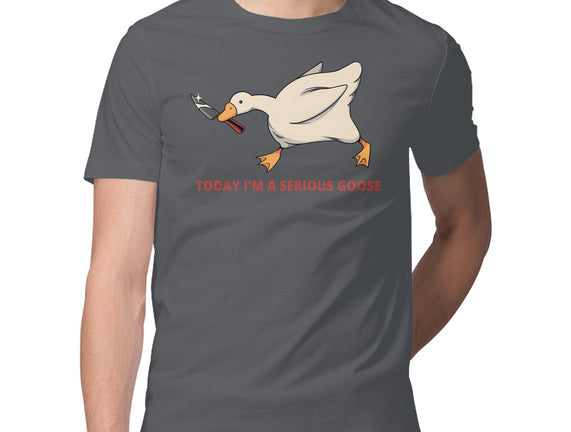 Serious Goose Violence