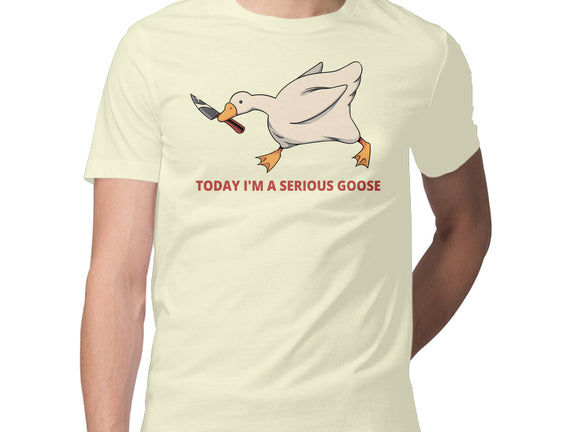 Serious Goose Violence