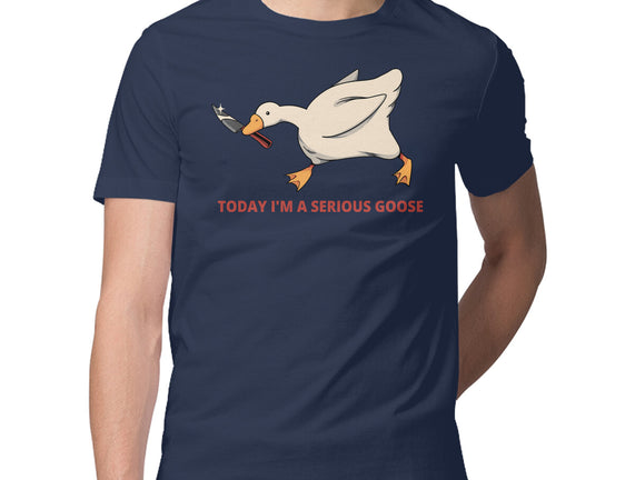 Serious Goose Violence