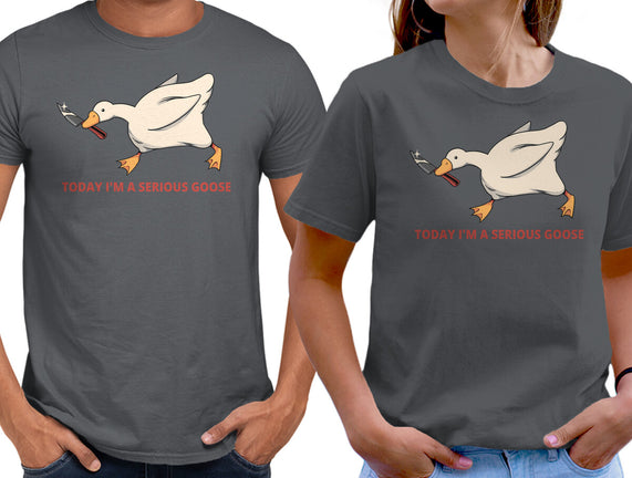 Serious Goose Violence