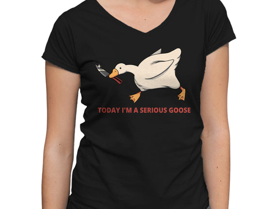 Serious Goose Violence