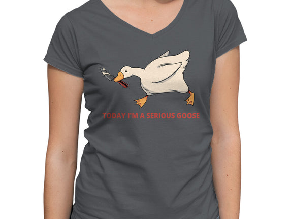Serious Goose Violence