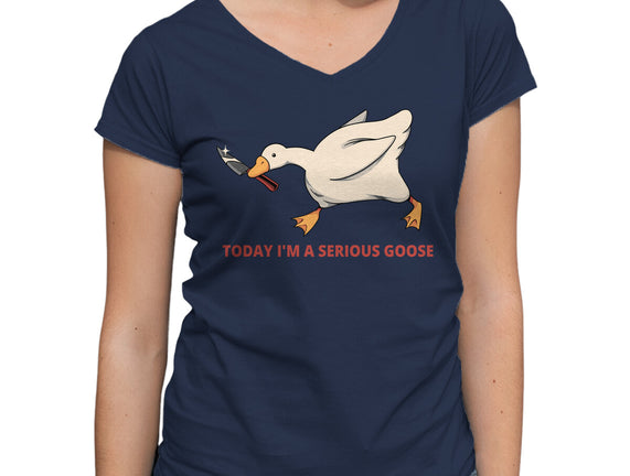 Serious Goose Violence