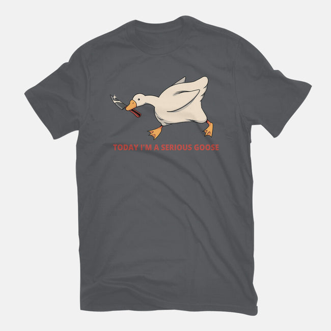 Serious Goose Violence-Womens-Basic-Tee-tobefonseca