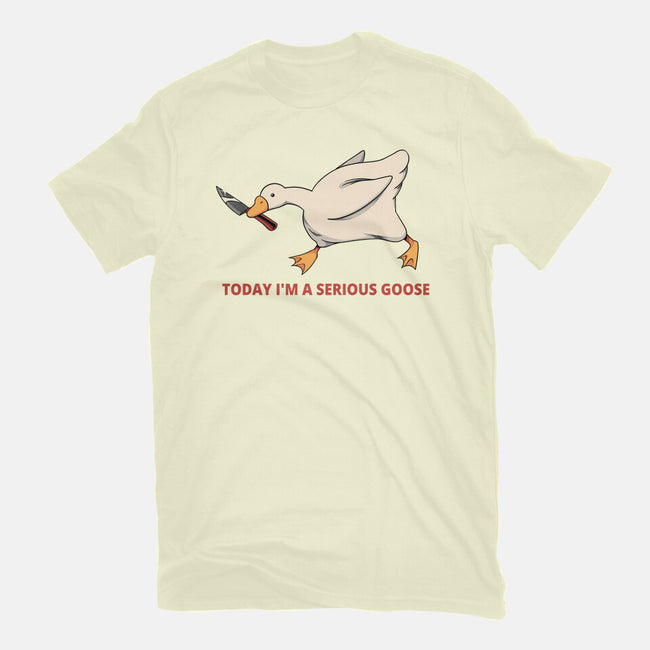 Serious Goose Violence-Mens-Basic-Tee-tobefonseca