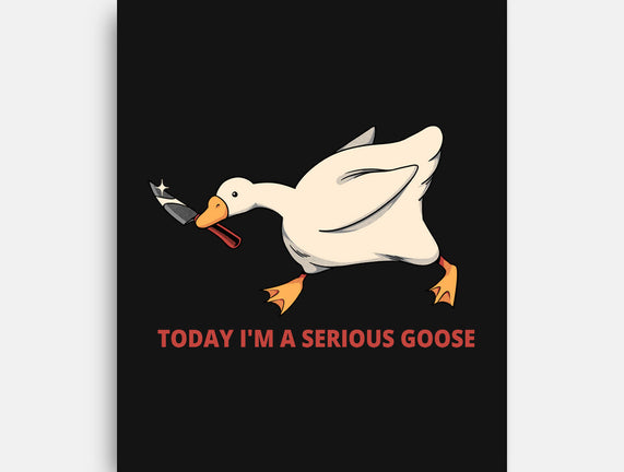 Serious Goose Violence