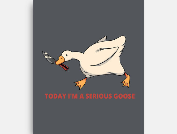 Serious Goose Violence