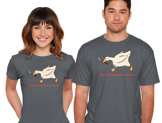 Serious Goose Violence