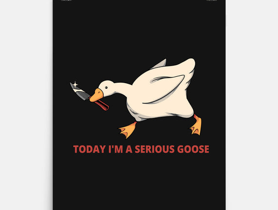 Serious Goose Violence