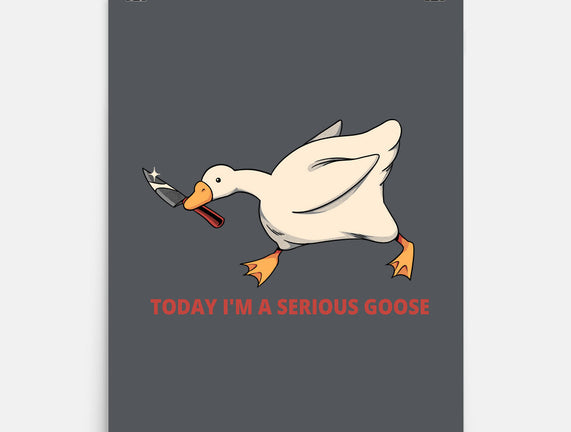 Serious Goose Violence