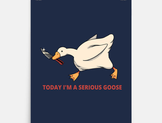 Serious Goose Violence